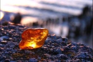 На Любешівщину прибули гвардійці