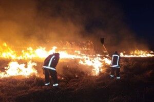 На Волині горіли суха трава та очерет