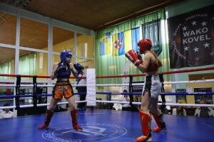 На Волині провели турнір з кікбоксингу в пам'ять про спортсменів-воїнів