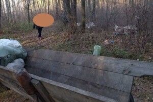 Волинянку, яка вивезла підводою у ліс сміття, оштрафували