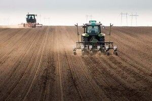 Україна втратила 25% посівних площ через війну