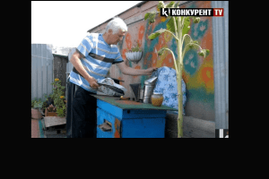 У Луцьку на даху багатоповерхівки чоловік облаштував пасіку (Відео)