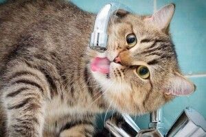 У частині Луцька через аварію немає води. Коли відновлять послугу