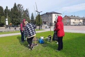 У Рожищі облагороджують сквер
