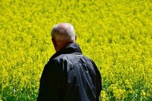  Вартість землі в Україні може зрости втричі після скасування мораторію