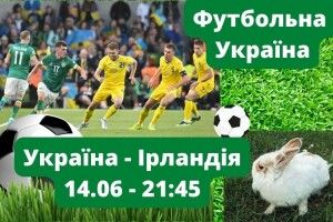 Вже сьогодні: найфутбольніший кріль Волині вказав на переможця матчу Україна - Ірландія (Відео, анонс, прогноз)