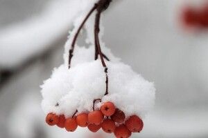 На Волині прогнозують до 28°С градусів морозу