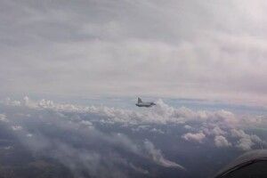 Лісові пожежі у Швеції гасять за допомогою військових винищувачів 