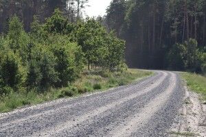 На Волині директор підприємства постане перед судом за махінації на будівництві лісової дороги 