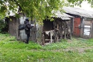 Муніципали у Нововолинську взялися за сараї і незаконні прибудови (Фото)