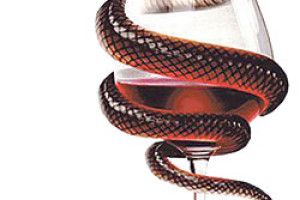 «ДОПОМОЖІТЬ, НАШІ ДІТИ СТАЛИ ЗАРУЧНИКАМИ»