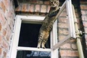 ФОТО НА КОНКУРС: у передчутті весни