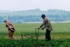 Який відпочинок у Європі? З нашими зарплатами і пенсіями у сусіднє місто не кожен заїде...