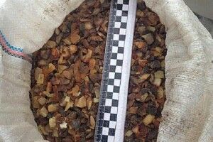 На Рівненщині вилучили бурштину на 500 тисяч гривень