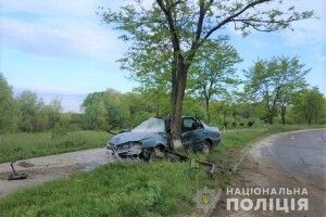 У Вараші на світанку двійко молодиків на автівці влетіли в придорожні дерева