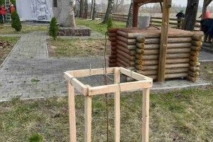 У Запрудді на Камінь-Каширщині ростиме груша Лесі Українки