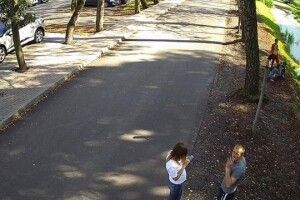 Військовий вибачився за вбивство качки у Центральному парку Луцька