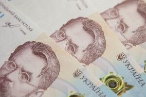 Запуск ринку землі: скільки коштуватиме гектар чорнозему на Волині