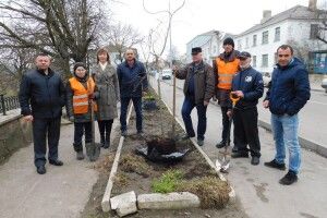 У Горохові на честь Великодня розцвіли сакури