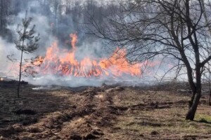 Поблизу сміттєзвалища знайшли тіло дитини