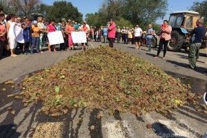 Фермери перекрили трасу Одеса-Рені й вивантажили на проїжджу частину цілу машину винограду (фото)