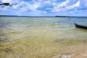 Рівень води у Світязі піднявся вище норми
