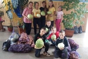 Жителі Сошичного зібрали картоплю й овочі для  обласного госпіталю ветеранів
