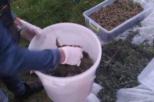 Волинянина підозрюють у виготовленні канабісу з метою збуту (Фото)