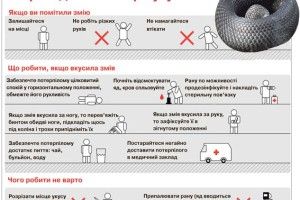 Про рятівні сироватки міністр не говорила…
