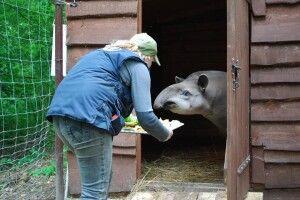 Рівненський зоопарк шукає робітника з догляду за тваринами (фото)