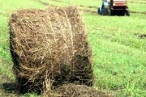 ЗВІТНІ ПОКАЗНИКИ ЗІ СТЕЛІ?