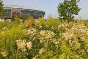 Окупований Донецьк вже нагадує Придністров’я та Абхазію (фото)