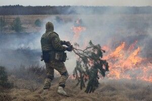 Вогонь розлітався скрізь: бійці Волинської бригади тероборони ліквідували пожежу в екосистемі (Фото)