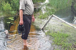 БІЛЯ ЛЮБЕШОВА РОЗМИЛО ДАМБУ