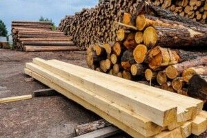 Волинська  влада заявила про закриття 318 нелегальних пилорам