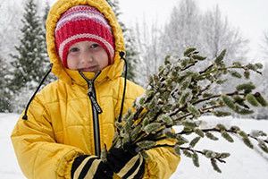 ВІКНО РУБРИКИ: останні подихи зими