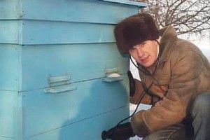 Середина зими: час пасічнику слухати своїх бджіл