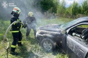 На Волині горів легковий автомобіль та суха трава