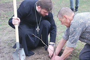 ВІКНО РУБРИКИ: ростіть великі,  дерева й діти!