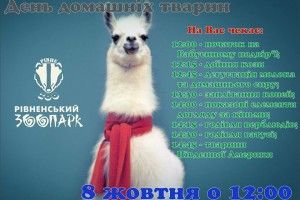 У неділю в Рівному доїтимуть козу, заплітатимуть коней та годуватимуть верблюдів
