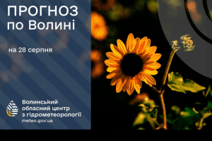 Якою буде погода на Волині до кінця літа