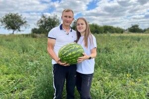 Найбільший кавун, який виростив волинський фермер, заважив 15 кг (Відео)