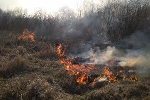 На Волині – 65 загорянь трави!