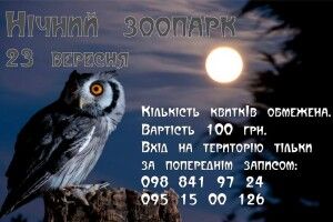 Рівне готується до таємничої зооночі