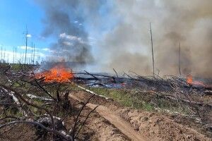 Яка ситуація з пожежею та радіацією у Чорнобильській зоні 