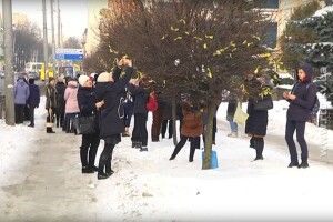Клени у центрі Рівного стали «золотими» (Відео)