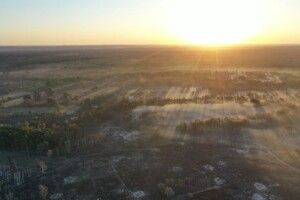  На Сході України зафіксовано один постріл з боку формувань РФ