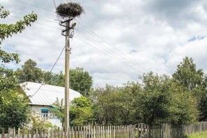 Коли розливалася вода, то хліб в «острівні» Почапи доставляли вертольотом