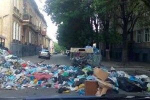 Вулицю у Львові заблокували сміттям (фото)