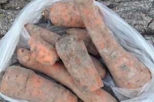 У відвідувача Луцького зоопарку відібрали торбу моркви (фото)